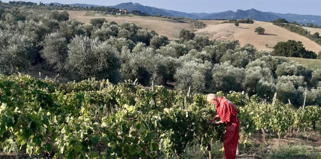Agriturismo Santa Chiara Pomarance Buitenkant foto