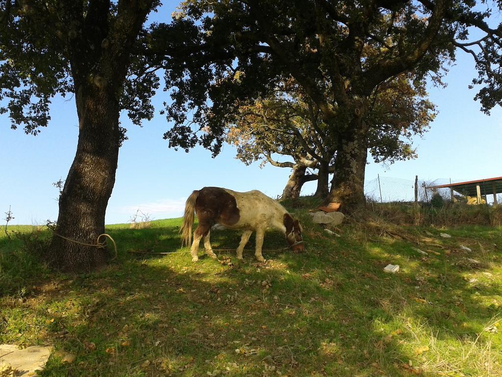 Agriturismo Santa Chiara Pomarance Buitenkant foto