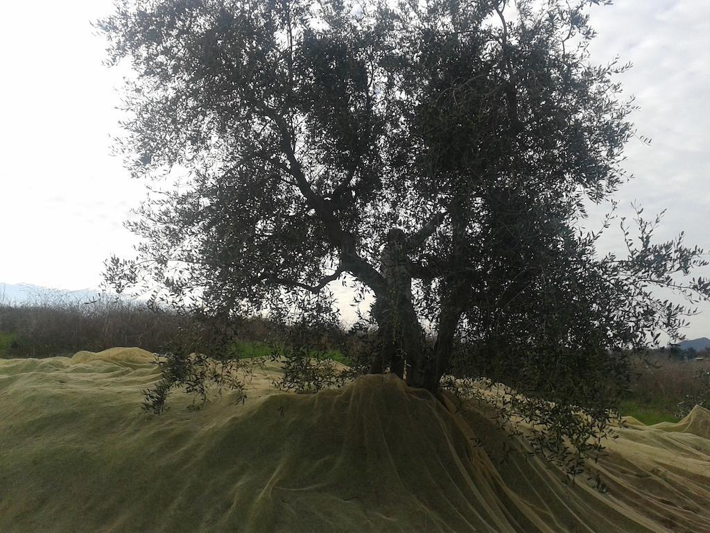 Agriturismo Santa Chiara Pomarance Buitenkant foto